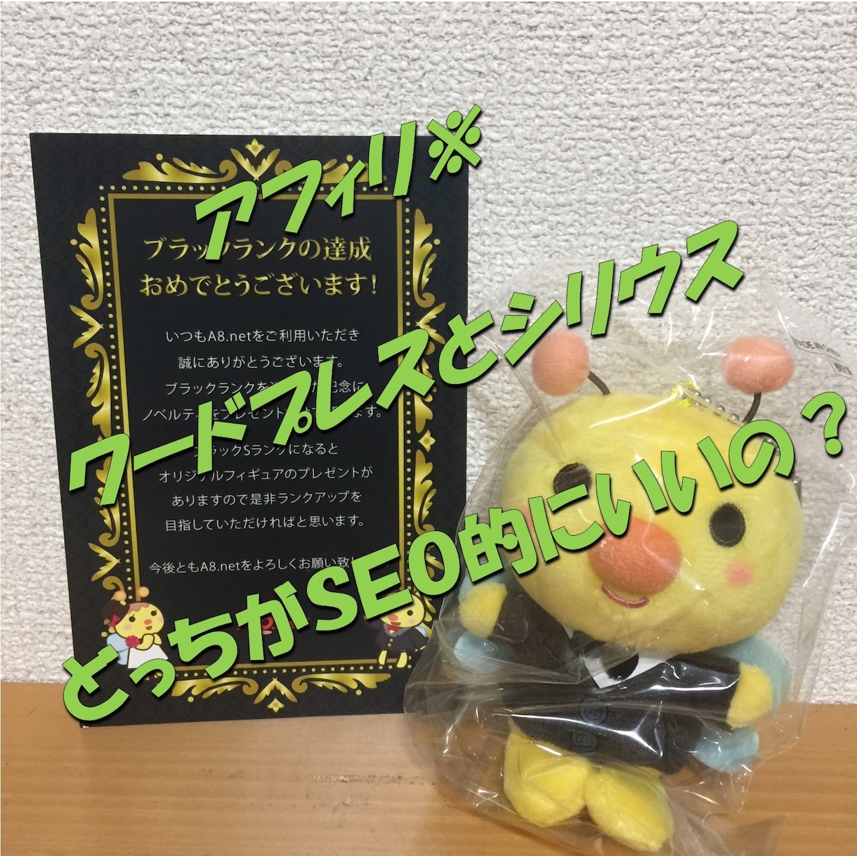 ワードプレスとシリウスどっちがいいの？に答えます アフィリ※ワードプレスとシリウスどっちがＳＥＯ的にいいの？ イメージ1