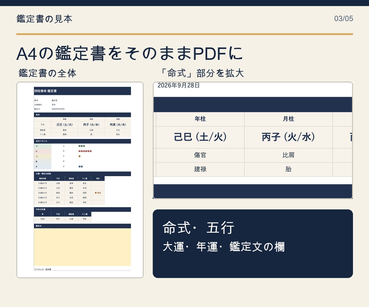 四柱推命の命式表・鑑定書をExcel自動作成します マクロなし｜Mac・iPad・Googleスプレッドシート可 イメージ3