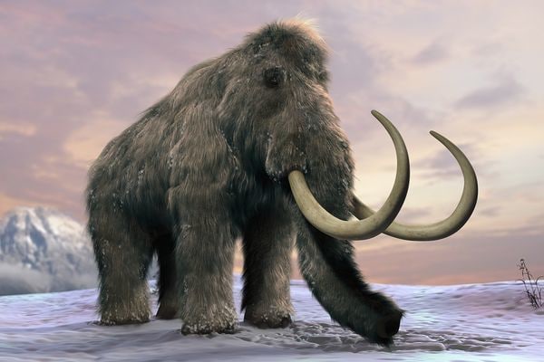 写真やイラスト、絵画など何でも動かします 人物や動物などの写真やイラストを動かします。 イメージ4