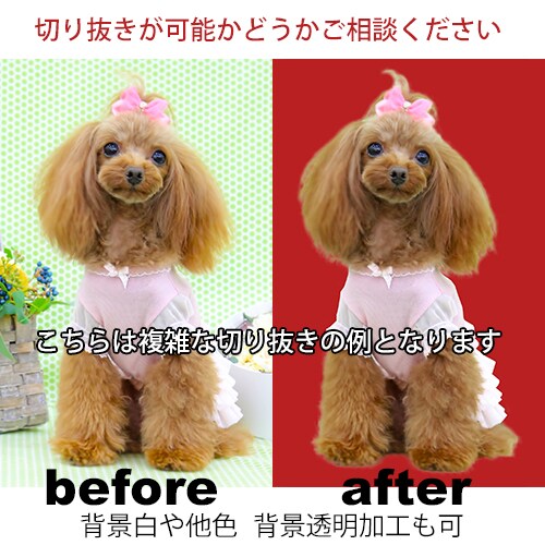 画像を切り抜き加工します！合成など様々な用途に利用できます！ イメージ2