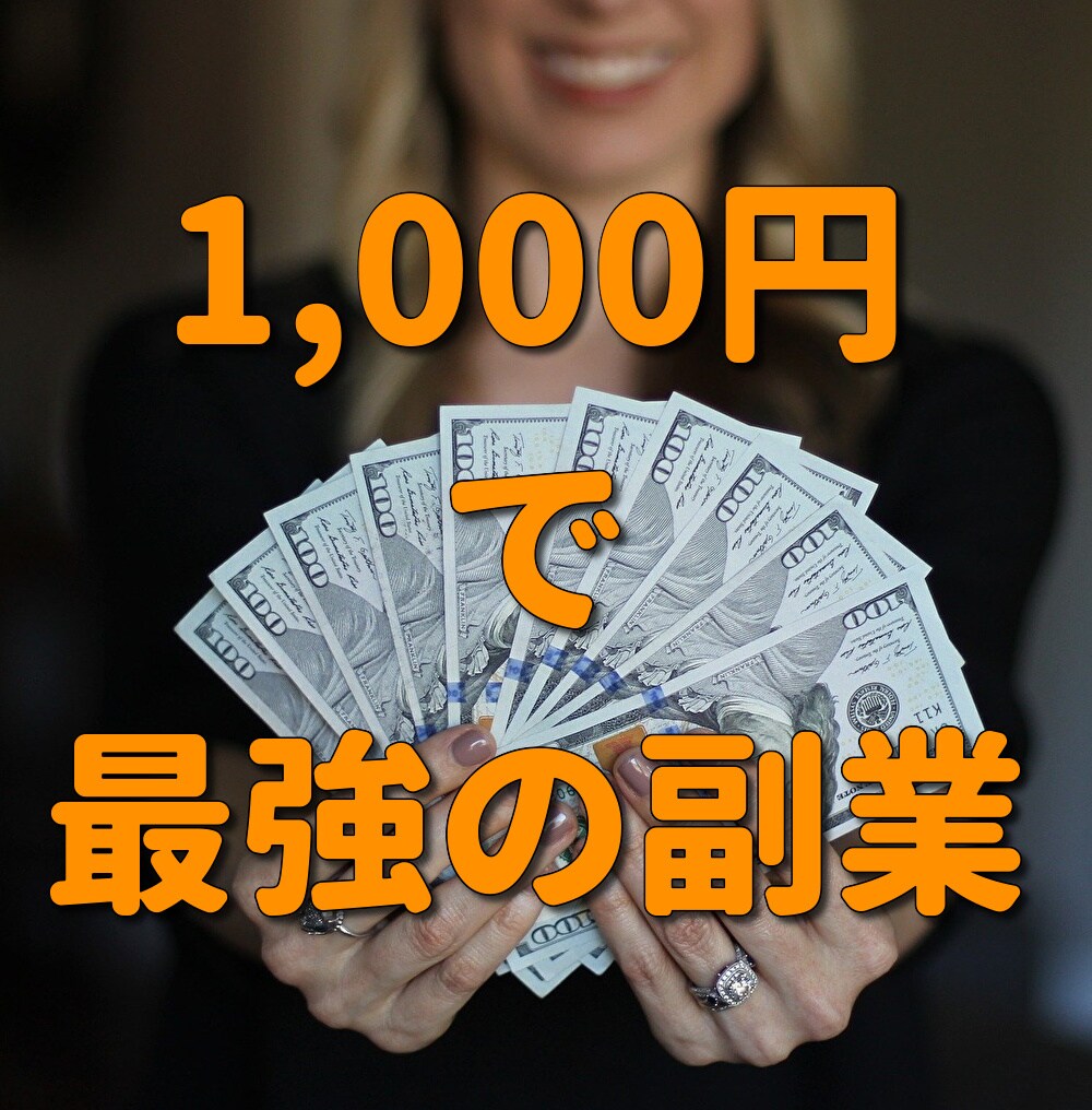 最強の副業！！ノウハウコレクターを卒業させます 最強のネットビジネスのマニュアルをお渡しします イメージ1