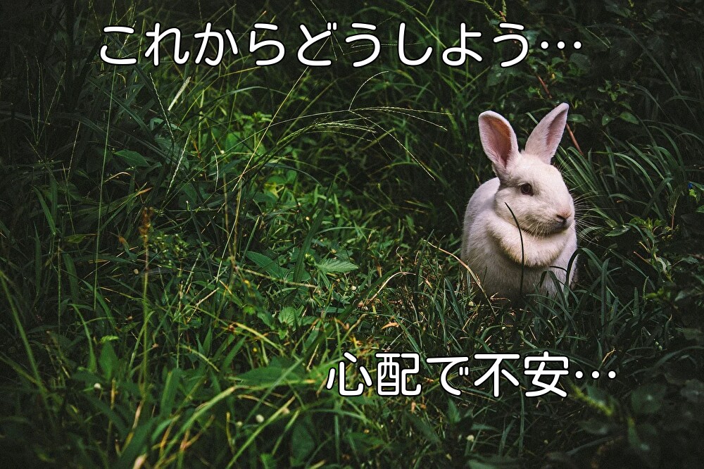 うつ病、うつ病かもって方のお悩みをお聞きします 疲れた、辛い、先が不安などの悩みをトークルームでお話聞きます イメージ3