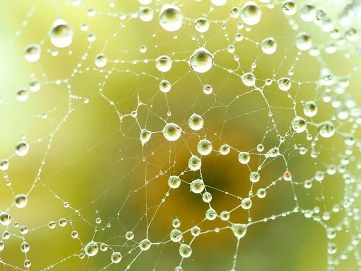 人生のスピリチュアルマップをタロットで鑑定します 今解決すべき課題を再確認して、もっと自分らしく生きましょう。 イメージ2