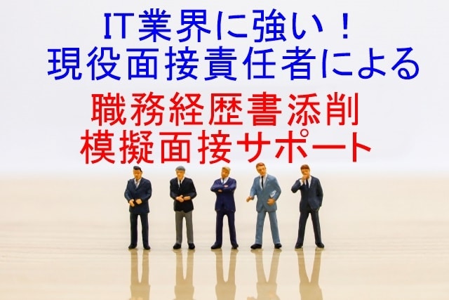 応募企業に合わせた職務経歴書作成・模擬面接をします 転職準備～職務経歴書作成～応募企業調査・対策・模擬面接実施 イメージ1
