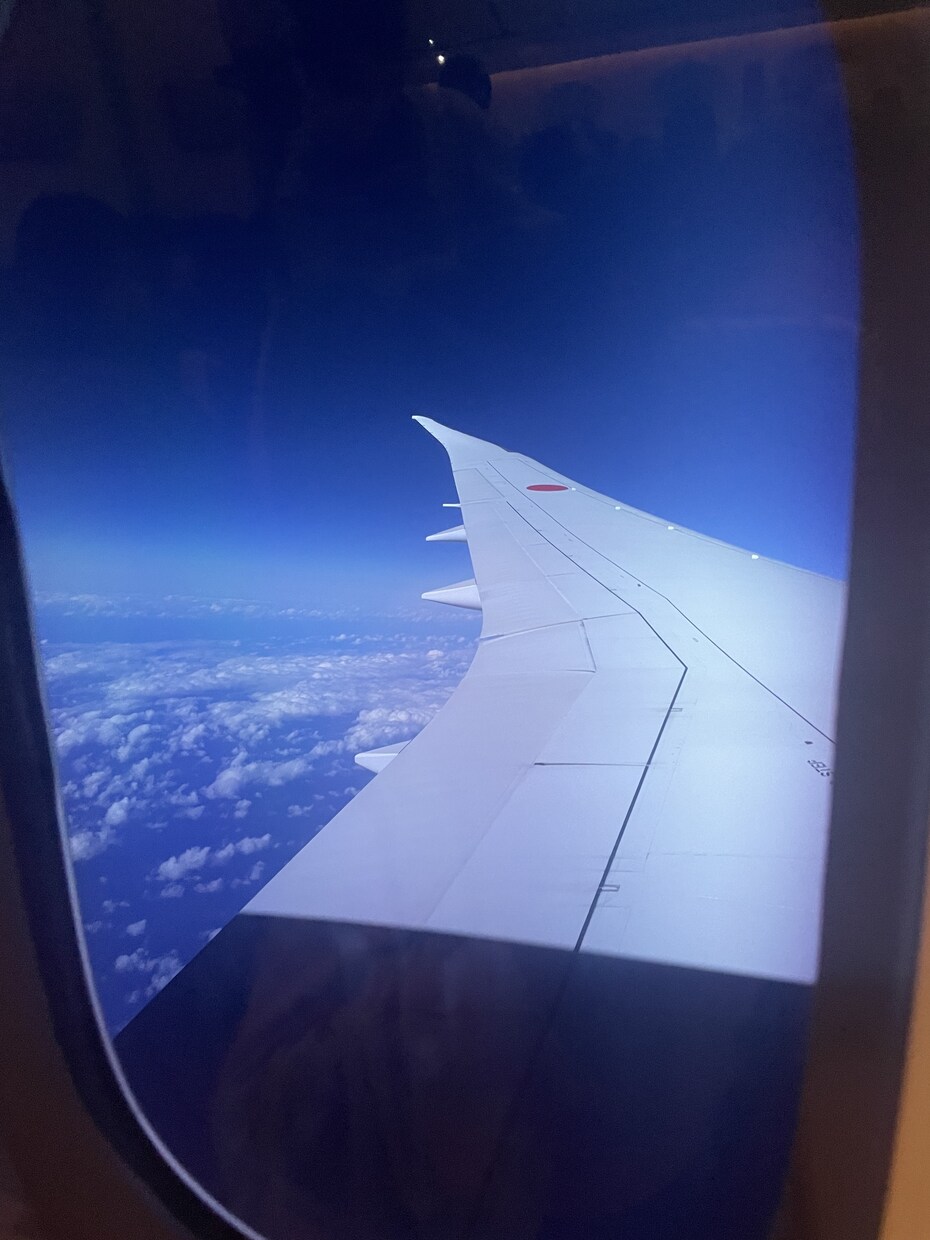 ローカルの視点でロサンゼルスについてお答えします 〜LA20年、元航空会社勤務で経験、知識あります〜 イメージ3