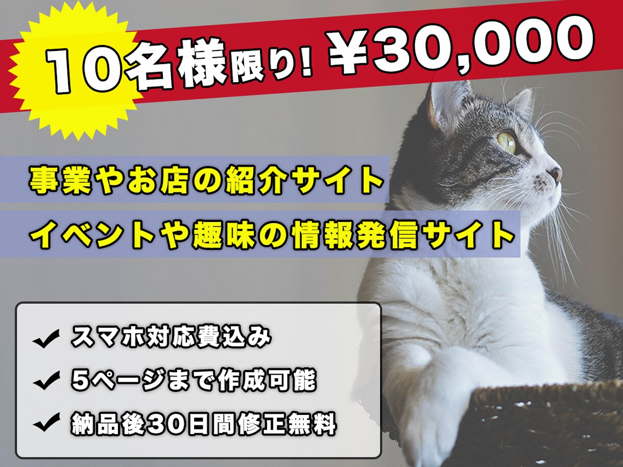 キャンペーン中！！おトクにサイトを制作いたします スマホ対応はもちろん、トレンドを取り入れたサイトをご提供 イメージ1