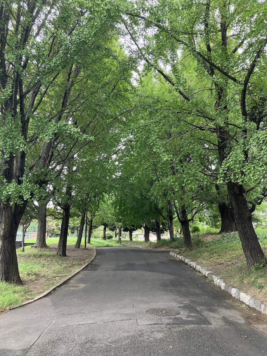 離婚のタイミングやその後の未来を四柱推命で占います 離婚後の生活・お金・子育て・今後の流れを具体的に視ます。 イメージ9