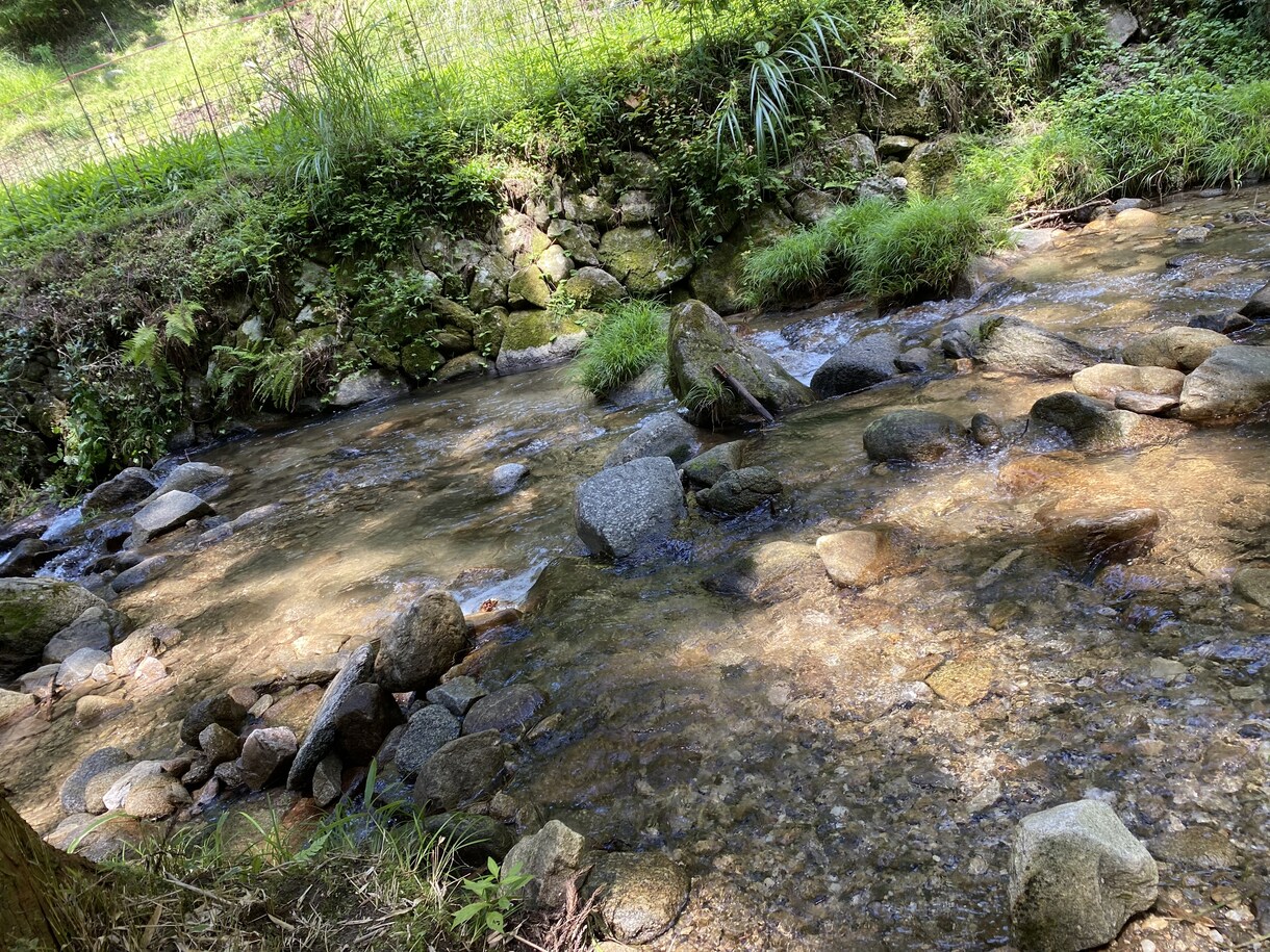 30分チャットでやり取りします 20分チャットし放題♡なんでも聞きます( ˙˘˙ ) イメージ1