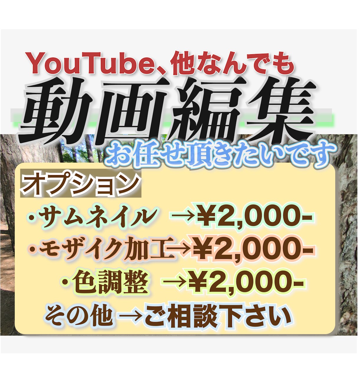 動画編集をご依頼を賜ります あなたの動画をより良くしたい、それ一心で参ります イメージ2
