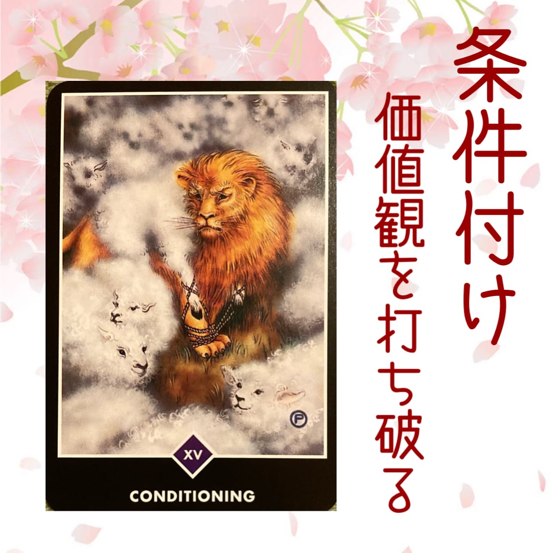 10日間★1日をどう過ごせばいいかカードで導きます ★1日1禅タロット★毎朝の楽しみができ、元気になる イメージ3