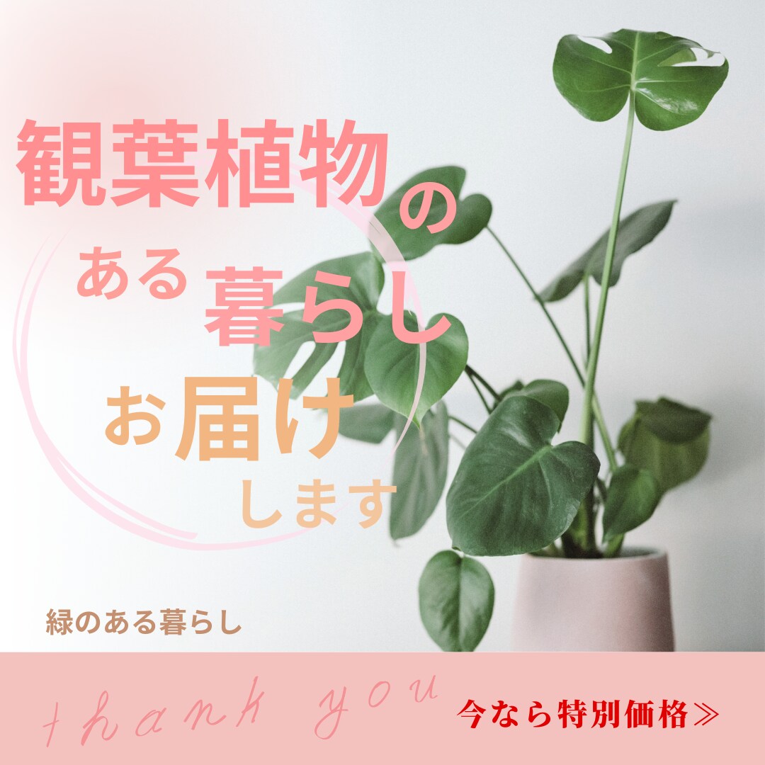 Instagramの投稿画像制作します 女性目線でシンプルで見やすく低価格で☆ イメージ9