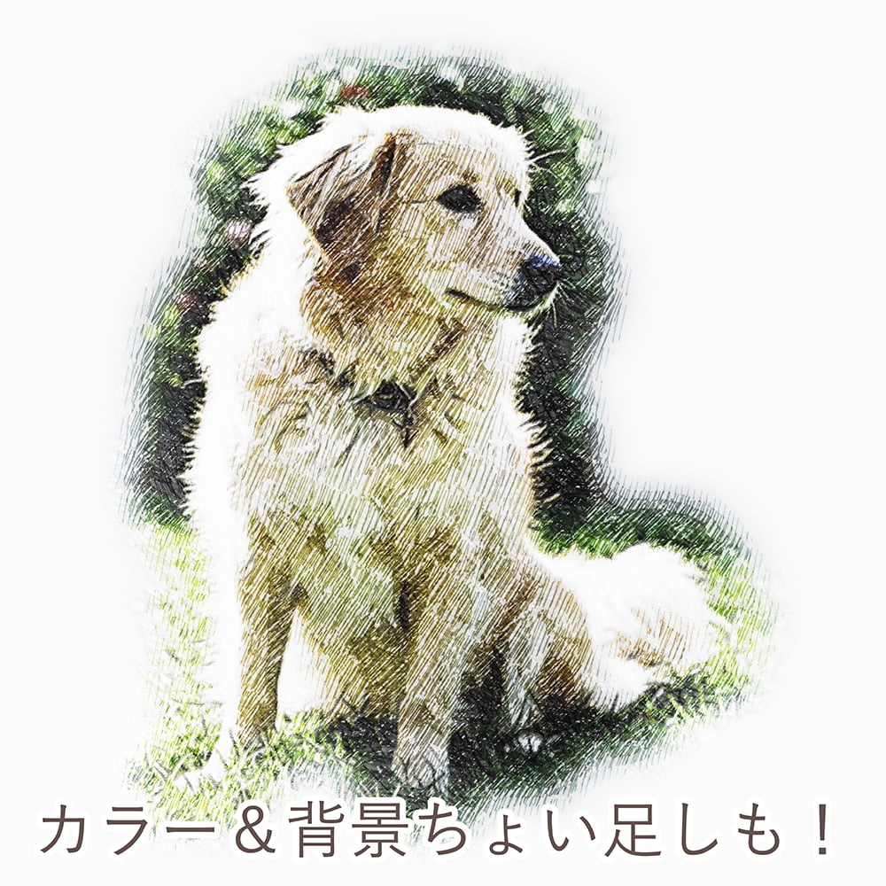 うちの子をシックな鉛筆画風のイラストにします インテリアにも馴染む、上質で大人なペットポートレート。 イメージ5