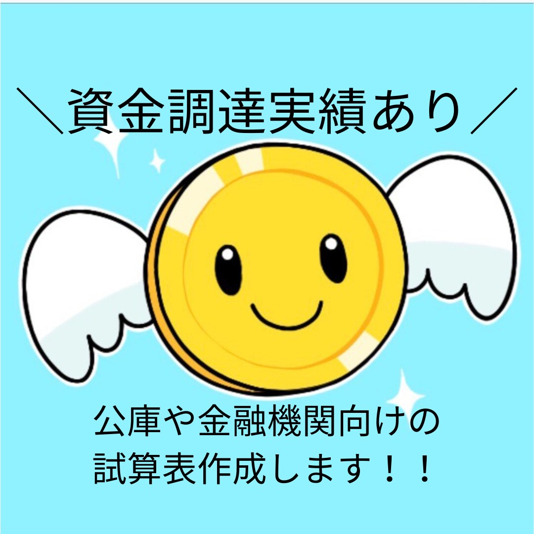 現役高級会計事務所職員が融資向けの試算表作成します 資金調達実績あり!公庫や金融機関納得のクオリティ イメージ1