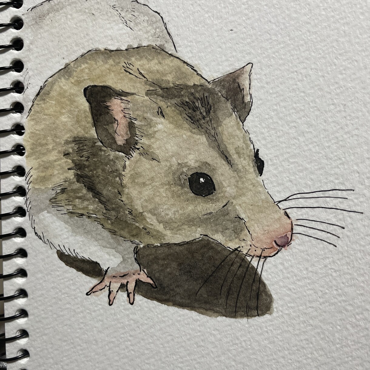 あなたの可愛いペットの似顔絵イラストを作成します 世界に一つだけの可愛い我が子のイラストをどうぞ イメージ3