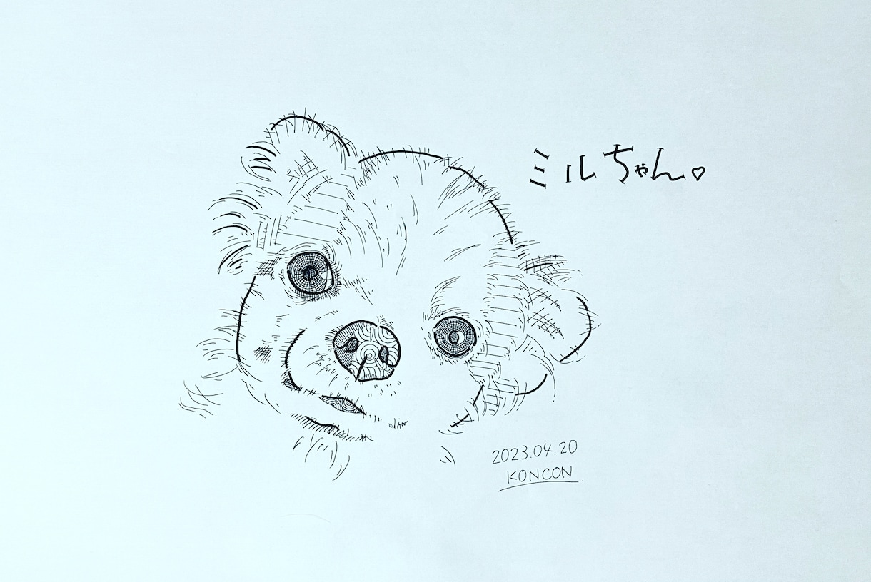 愛するわんちゃんの似顔絵描きます お気に入りの写真を元に手描きます！ イメージ2
