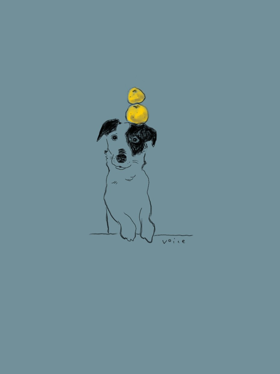 シンプルな動物イラスト描きます お部屋に飾ったり、ロゴにしたりできます。 イメージ2