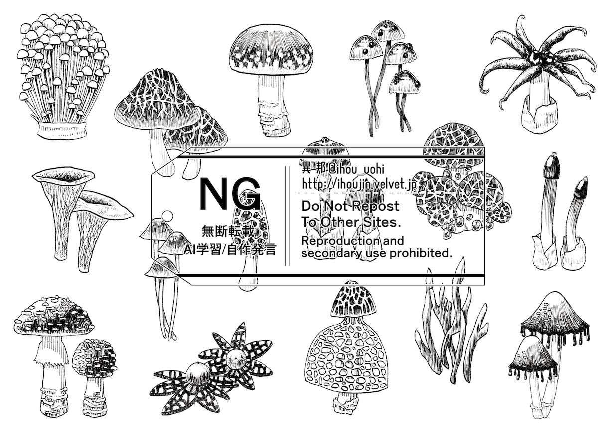 緻密なペン画イラスト描きます 植物や雑貨、民族衣装などが得意です！ イメージ6
