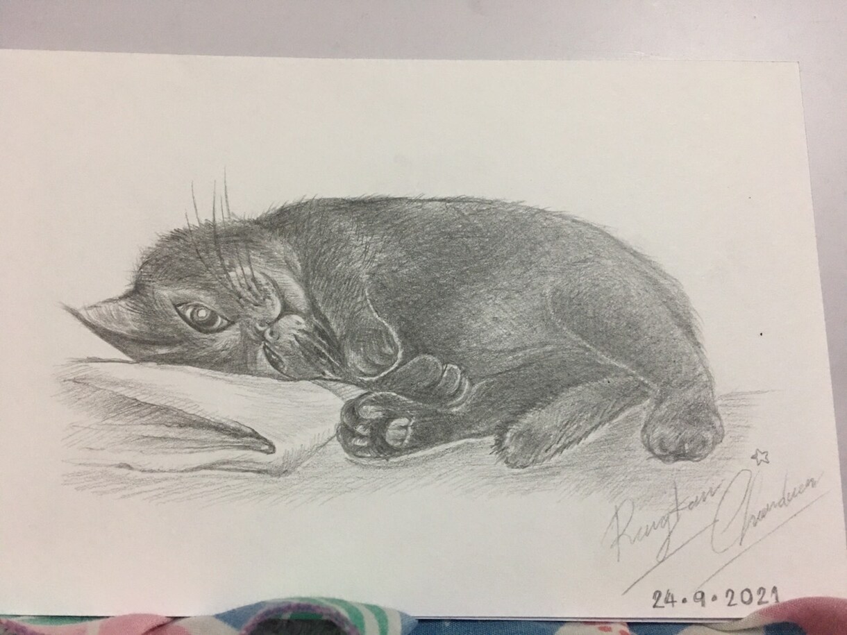 思い出作り♪写真をもとに人物や猫の似顔絵を描きます 家族や恋人、友達、ペット、また去ってしまった人やペットの為に イメージ9