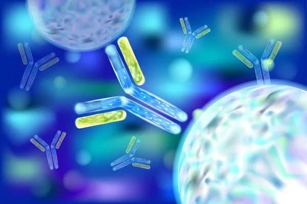 免疫力を高める生活習慣を教えます 科学的根拠に基づく実践しやすい免疫力アップ法 イメージ7