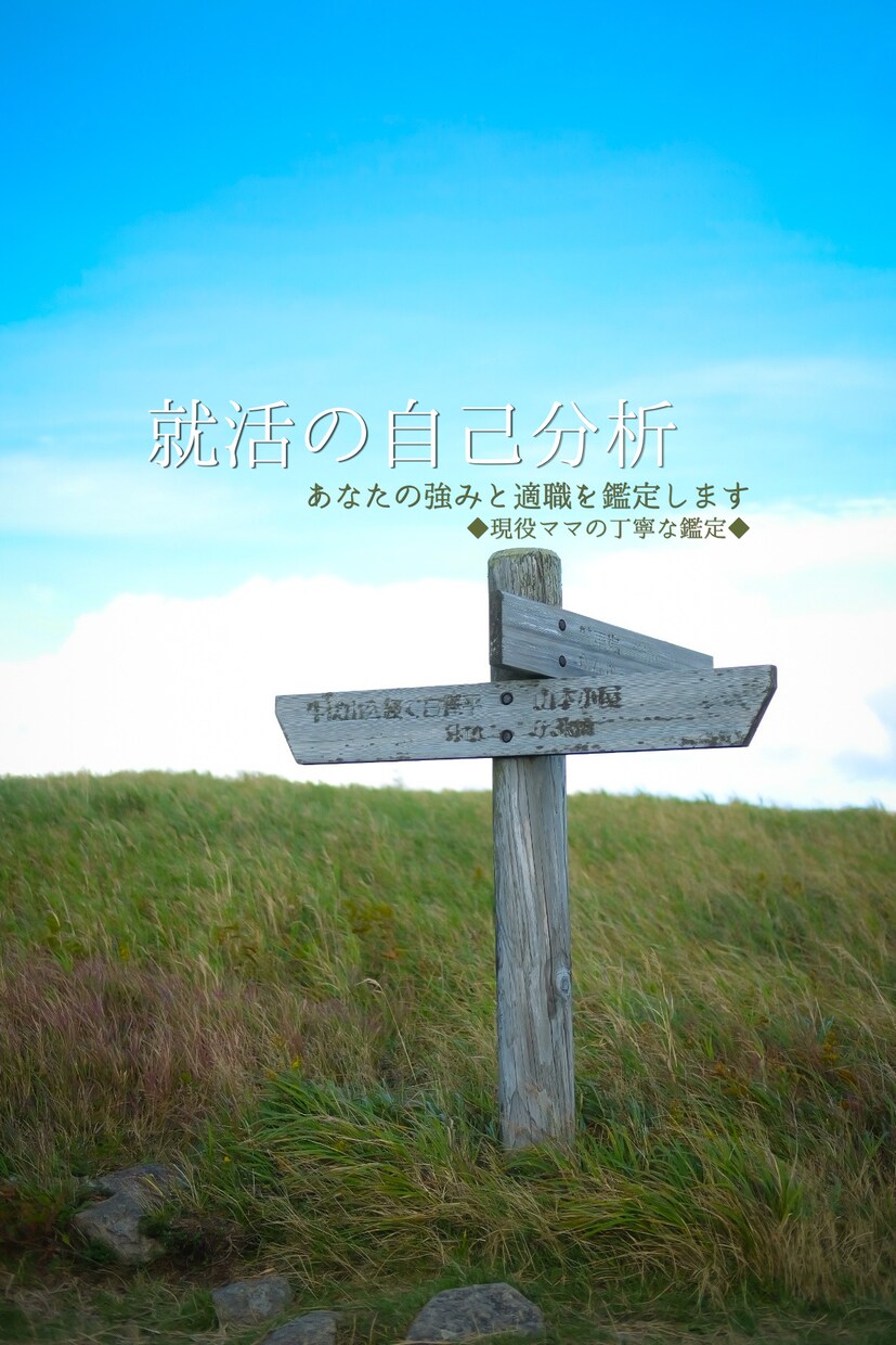 就活の自己分析！！あなたの強み適職を鑑定します 自己分析が進まない就活生へ！あなたの強みを客観的に診断 イメージ1