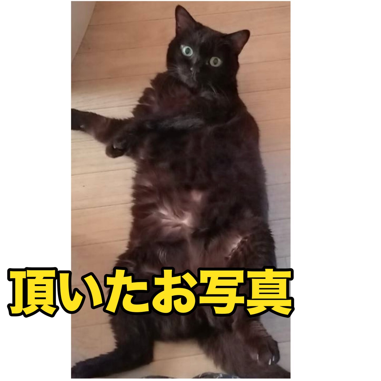 アイコン用！ペットや人物の似顔絵ゆるっと描きます 頂いた写真やリクエストに沿ってゆるっとふわっとお描きします イメージ7
