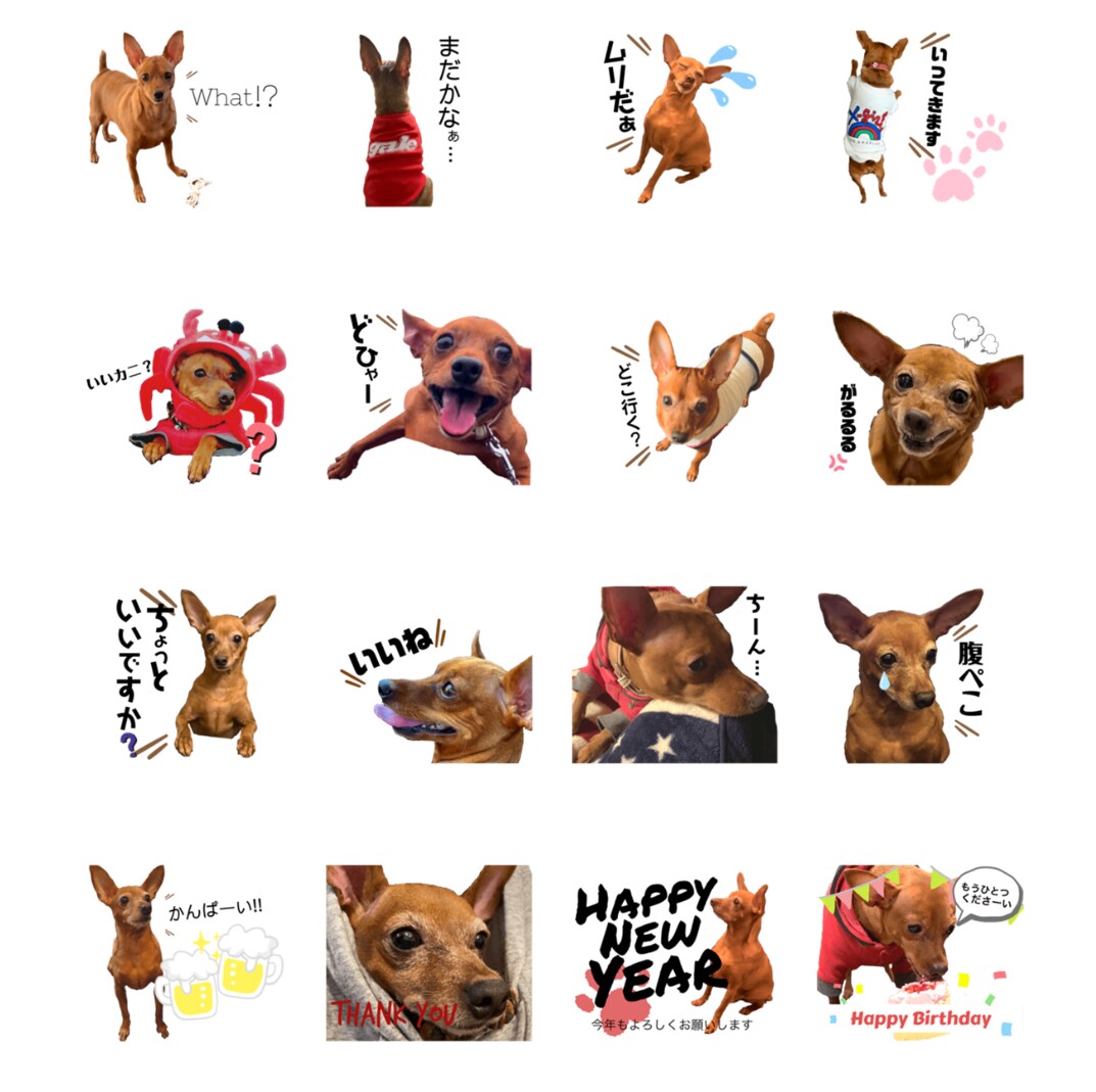 お好きな写真でLINEスタンプを作成します ペットや思い出の景色などをLINEスタンプにしませんか？ イメージ1