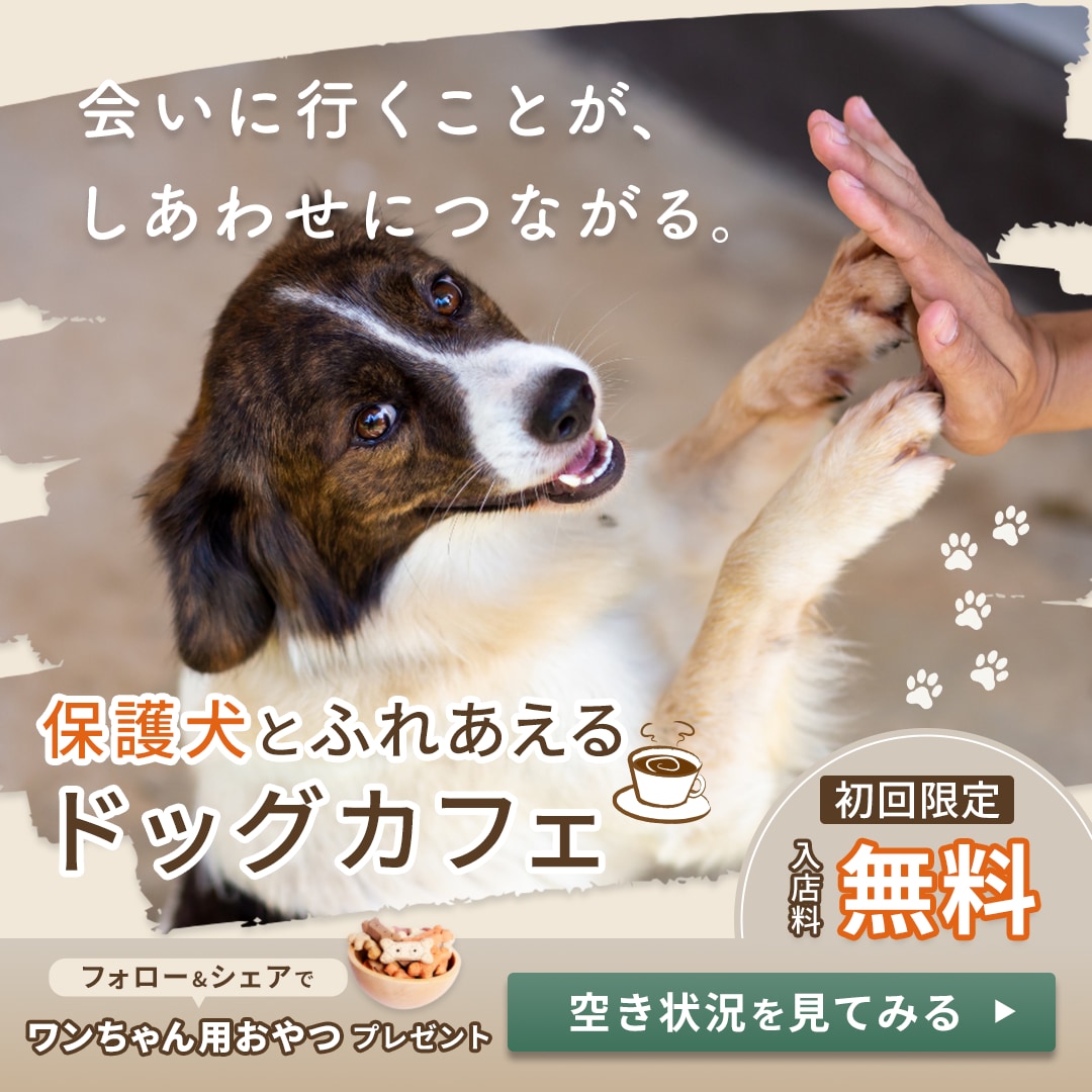 共感を“設計”して反応につなげる広告バナー作ります 誰に向けた広告か曖昧な状態を整理し、伝わる形にします イメージ7