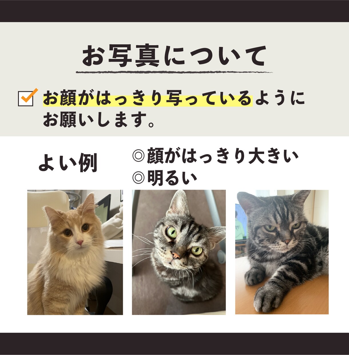 お家の猫ちゃんわんちゃん鉛筆で描きます 【現在170枚】原画＋画像データお届け！ イメージ6