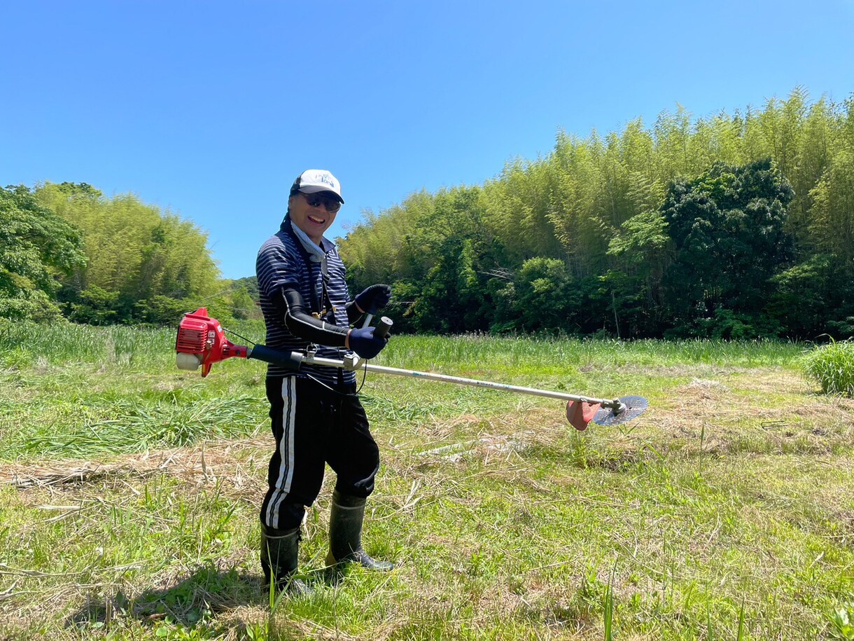 あなたの夢を実現する応援、お手伝いをします 。理想の自分になるために、コーチングを使って時短しましょう イメージ4