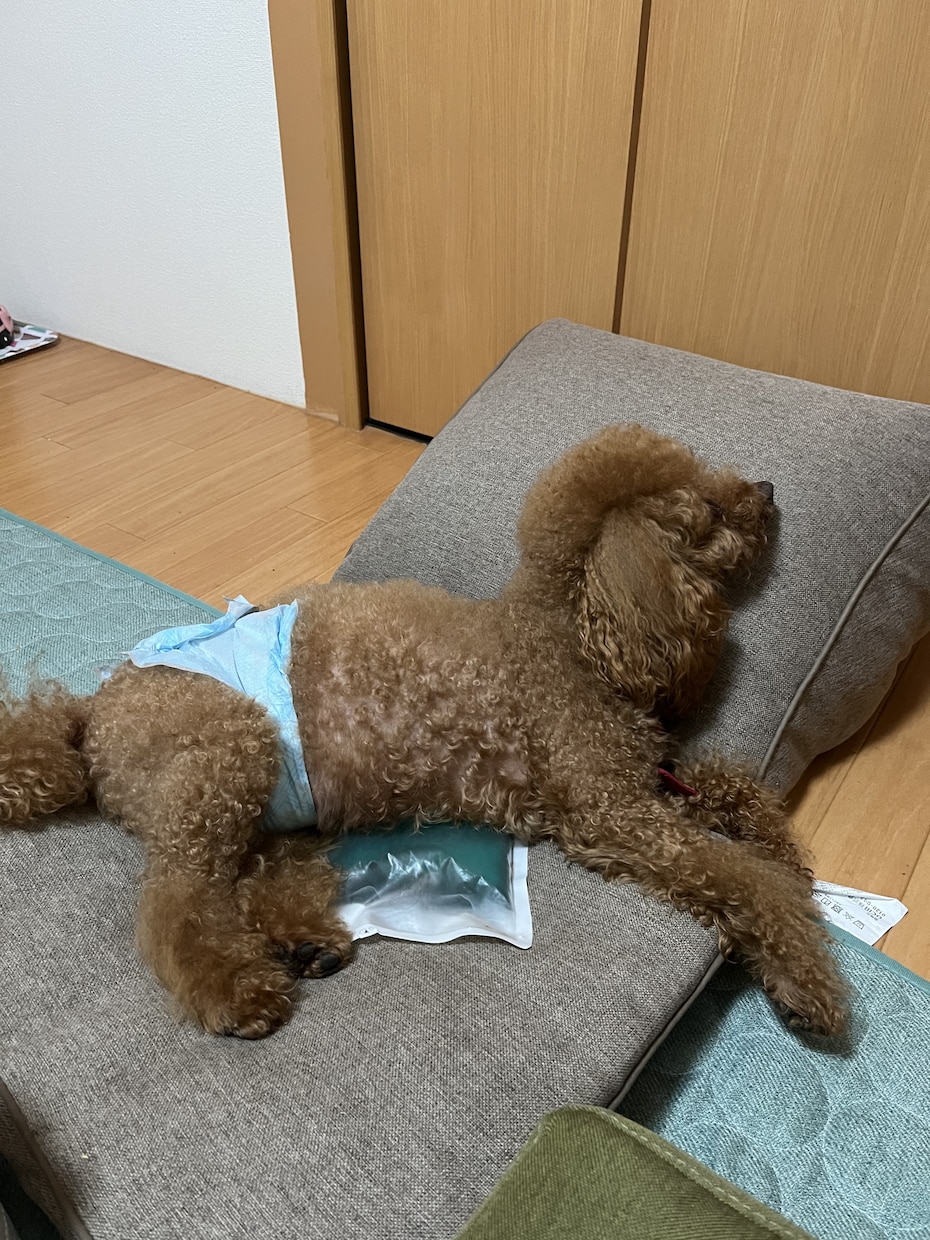 貴方を褒めたたえます 上がり眉毛を元の素敵な眉毛に気持ちを戻しますよ イメージ1