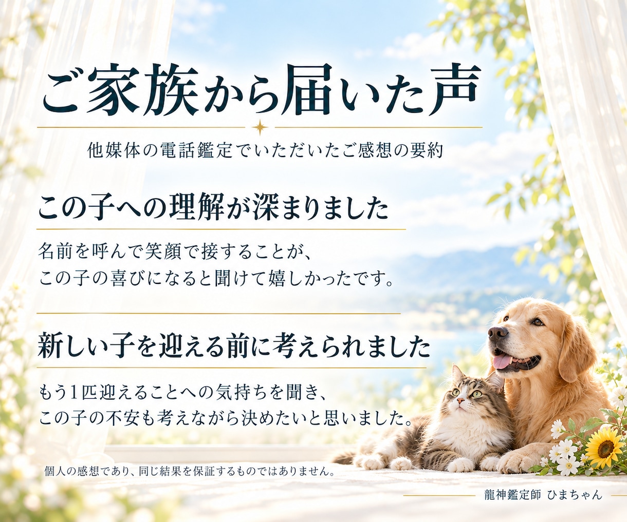 ペットの気持ちと家族への想いを文章で届けます 今いる子も旅立った子も、受け取った想いを文章でお届けします イメージ3