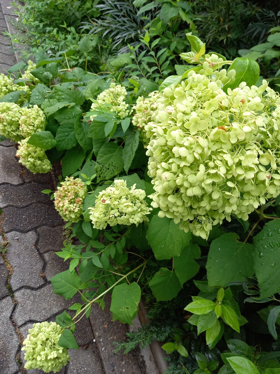 あなたにぴったりの本をおすすめします 本好きがすすめる本はご興味ありますか？ イメージ1