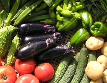 自然栽培の技術教えます 野菜やお米を作ってみたいあなたへ イメージ1