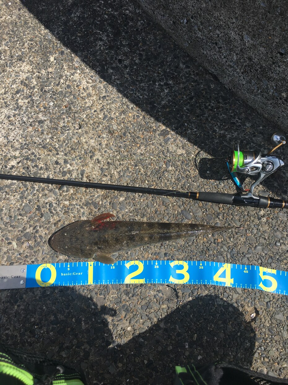 初心者向けのルアーフィッシング道具を選びます 1本のロッドで【なんでも釣りたい】欲張りさん必見です！ イメージ9