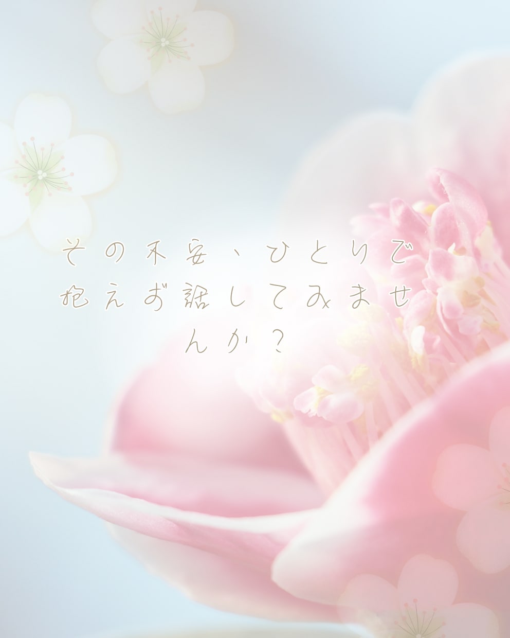 看護師があなたの“心の応急処置”いたします がんばってきたあなたの心、少し休めてみませんか？ イメージ5