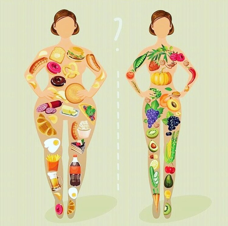 医学の視点から女性のためのダイエットを提案します 医学の視点から女性を綺麗でヘルシーな身体へ！ イメージ1