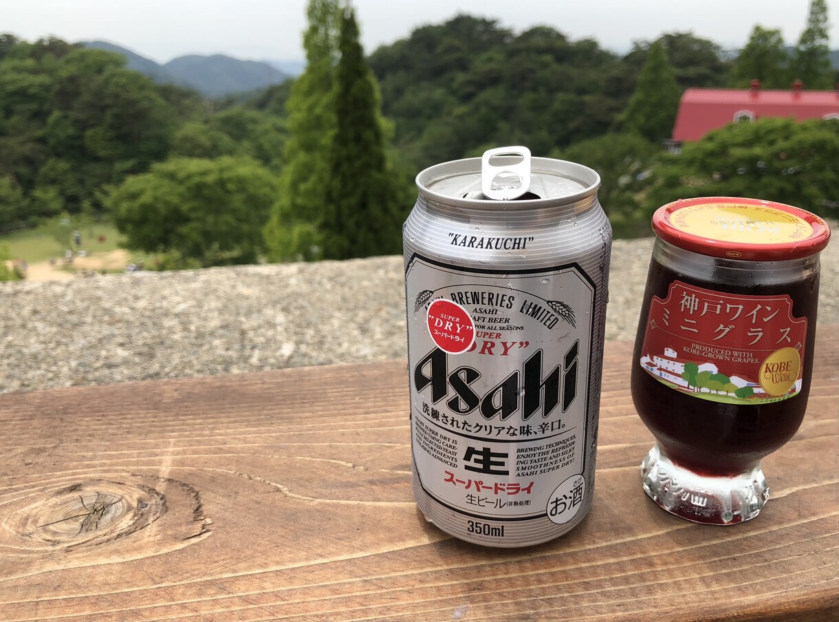 お家で一人呑みしている方!晩酌のお相手いたします 飲みながら会話して溜まったストレスを発散してください♪ イメージ4
