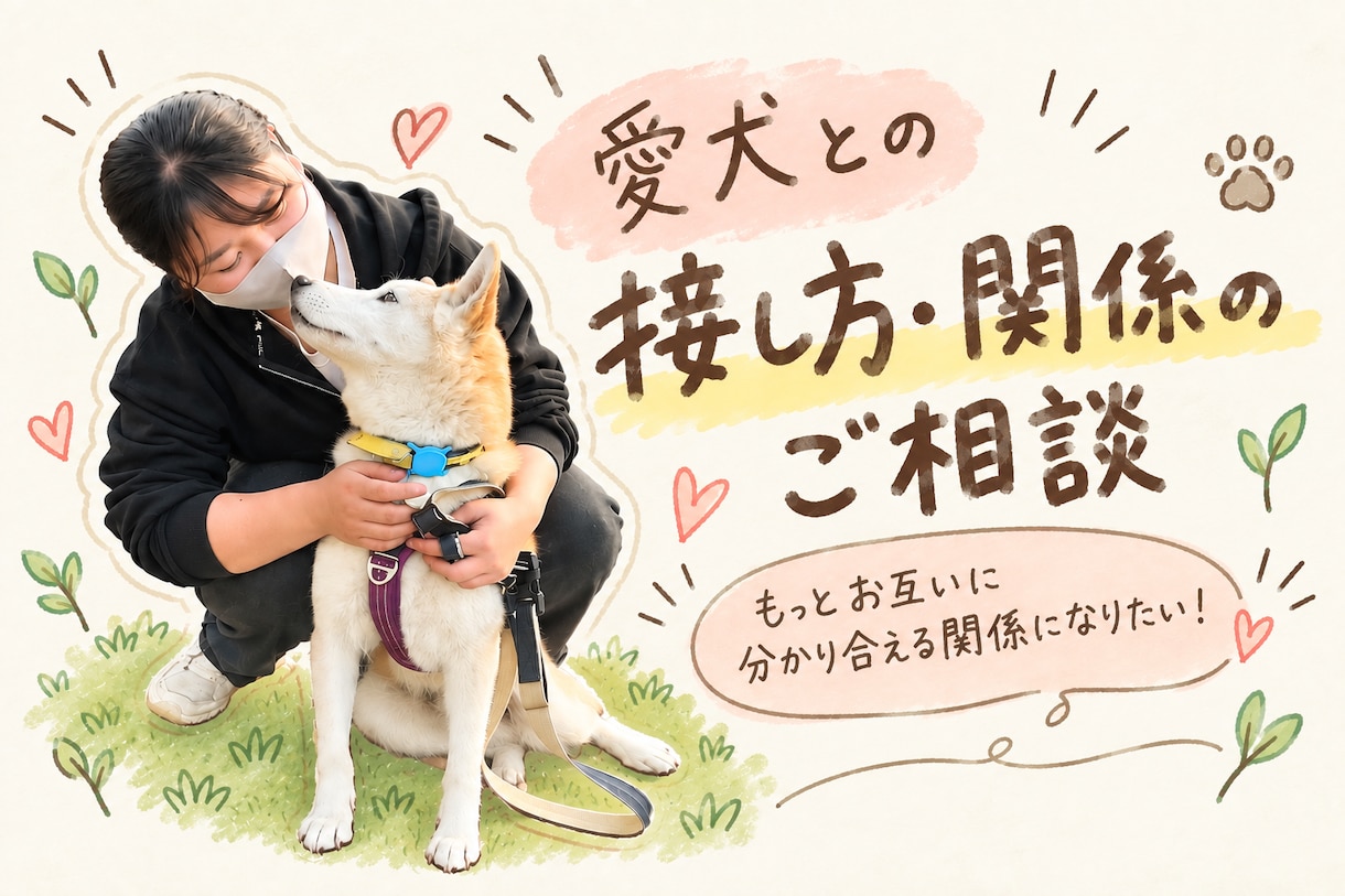 愛犬との接し方・関係作りのご相談にのります もっとその子を知りたい！方に全力でサポートいたします！ イメージ1