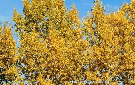 ツインレイ鑑定をします 相手の気持ちや今後の未来を視ていきます イメージ7