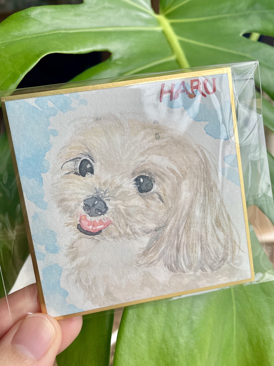 ペットの似顔絵を水彩で描きます 小さな色紙に、家族との優しい思い出を残します。 イメージ3