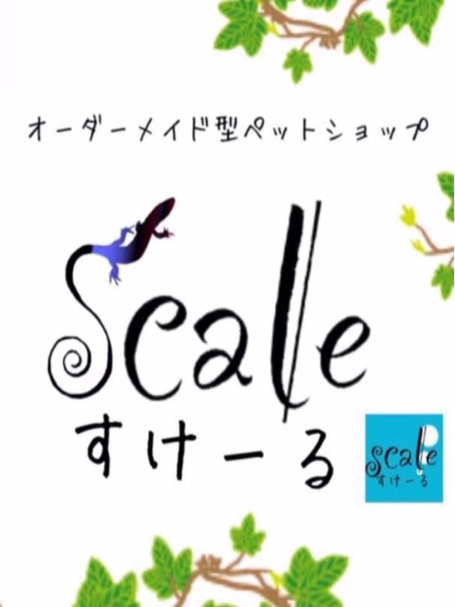 爬虫類に関する飼育の仕方や立ち上げ方等お教えします 爬虫類専門店が飼育の仕方や立ち上げ方等をアドバイスします！ イメージ1