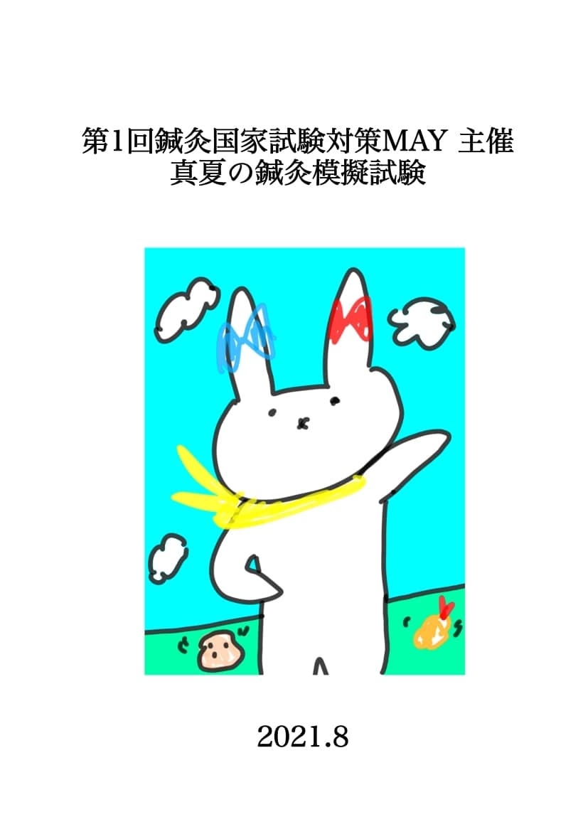 オリジナル鍼灸国家試験模試販売します 鍼灸国試対策MAYのオリジナル模試。実力試しに！！ イメージ1