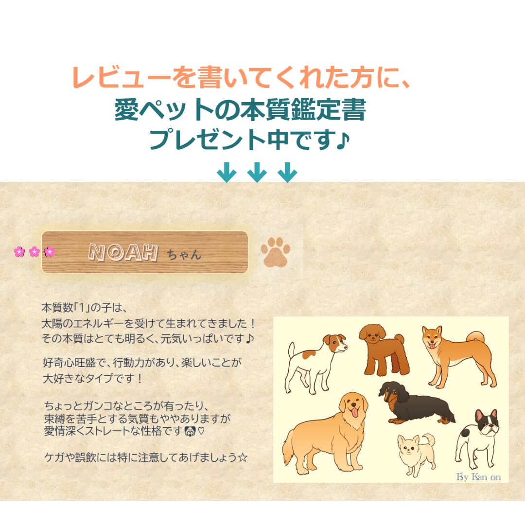 愛犬に関するあらゆるお悩み、専門的に回答いたします ！返信ボリューム◎　ポイント消化にも♪ イメージ2