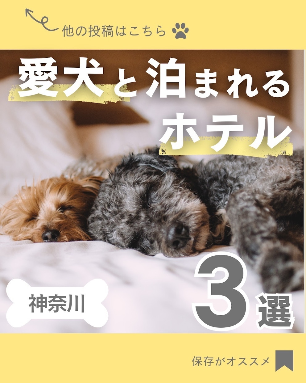 Instagram|インスタ用投稿テンプレ作ります コスパ最強！！先着5名まで特別価格でご提供！ イメージ2