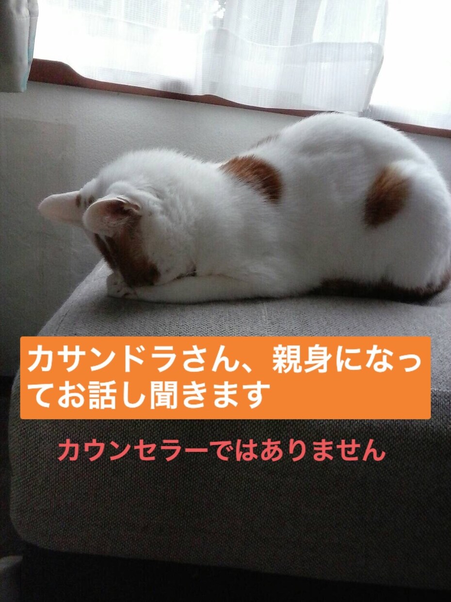 カサンドラさんの心に寄り添います 悩み、愚痴、お聞きします。アプリ通話限定 イメージ1