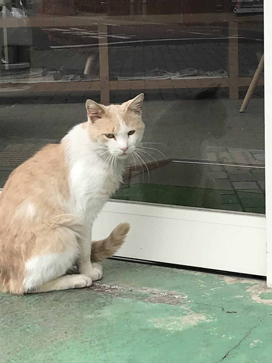 あなたの普通でつまらない話を面白くします ただの日常も角度を変えると面白くなる！ イメージ1