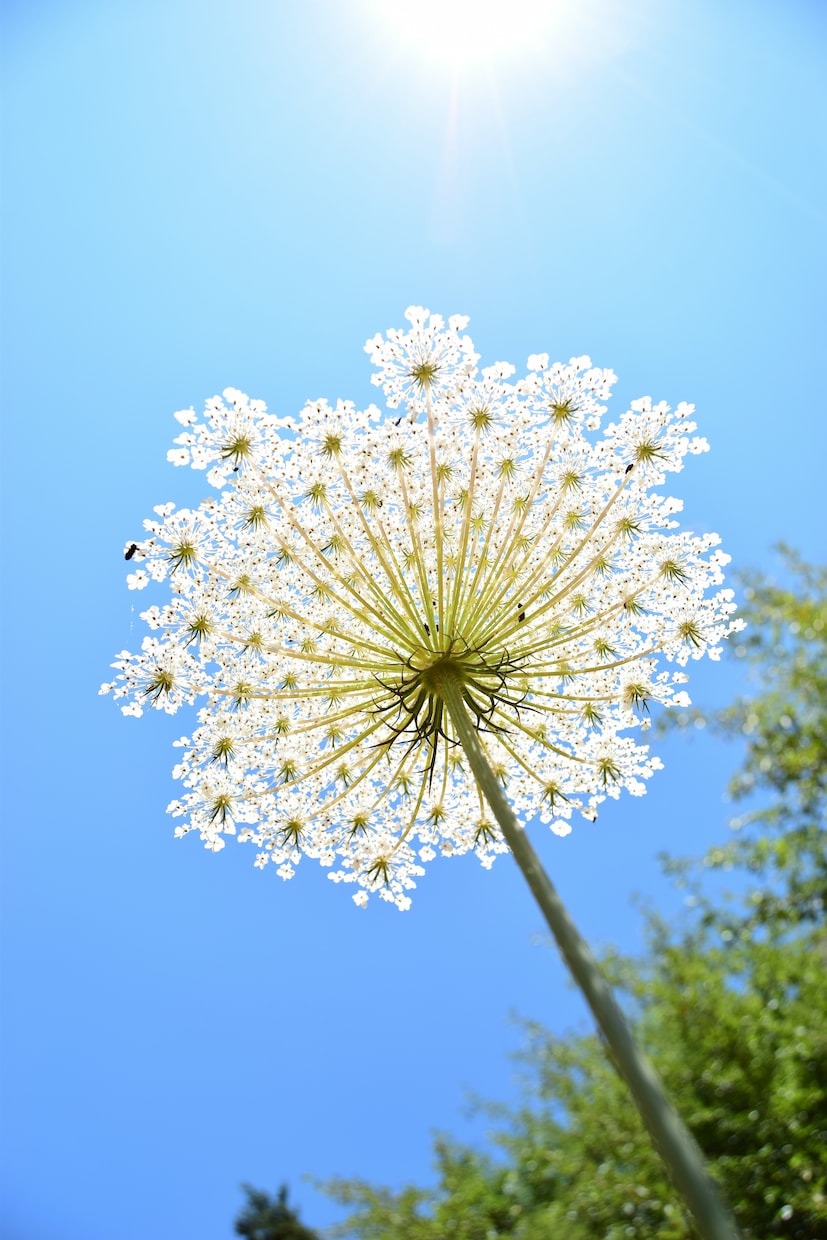 中高年おひとりさまの不安・愚痴何でもお聞きします 歳を重ねての不安を話すことで心の整理をしましょう イメージ1