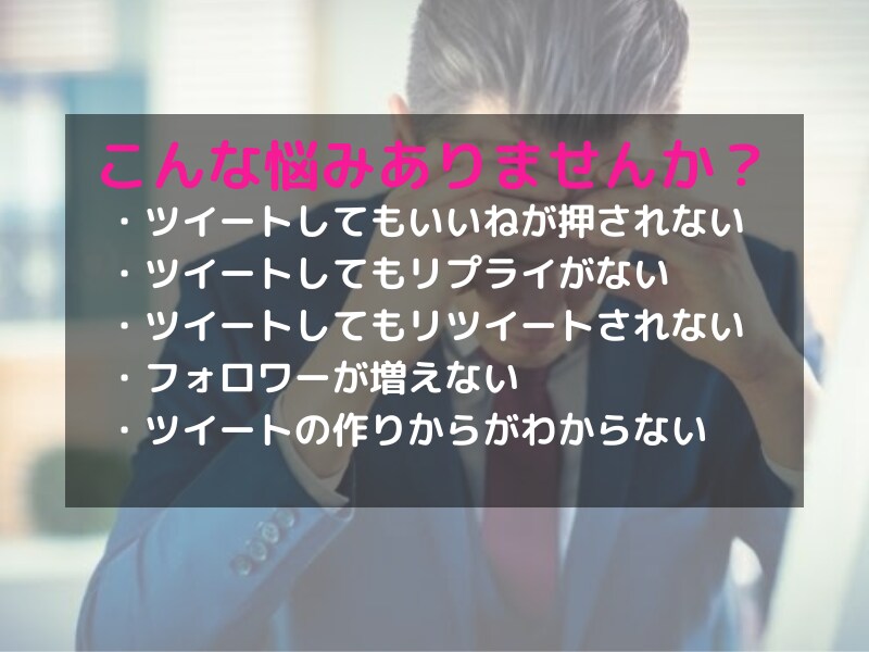 Twitter運用の悩み相談にのります １万フォロワー越えのインフルエンサーが全て丁寧に説明 イメージ3