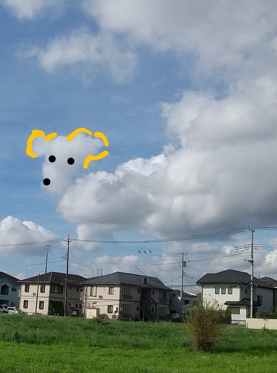 龍神様について話します 龍神様は、あなたの不安はどこから来てあるのかがわかります‼️ イメージ1