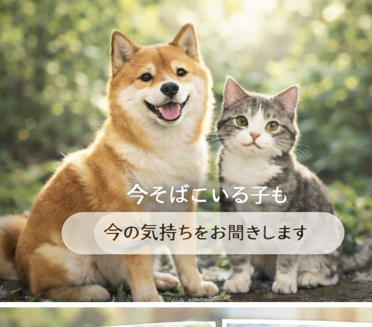 ペットの本音を伝えるアニマル通信致します 行動の理由や本心を丁寧に読み取ります イメージ1